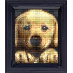 Pixelhobby Classic Goldenretriever Puppy 10x12 cm