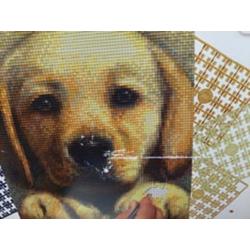 Pixelhobby geschenkdoos 4 basisplaten - Hond