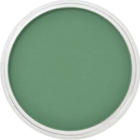 PanPastel Pastelnap Permanent Green Shade 9 ml