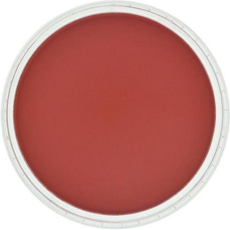 PanPastel Pastelnap Permanent Red Shade 9 ml