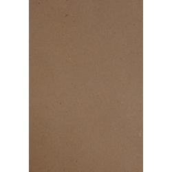 A4 karton 220 grams Recycling bruin (50 vellen)