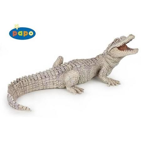Papo - Witte krokodil - Jong
