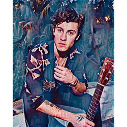 Shawn Mendes 3 - Canvas - 50 x 70 cm
