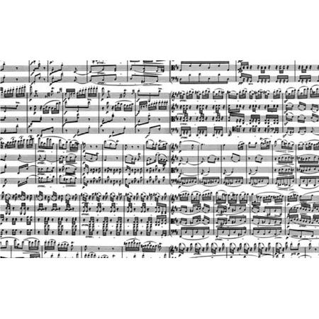 Piatnik Muzieknoten - 1000 stukjes