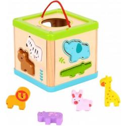 Educatief Speelgoed 2 Jaar / 3 Jaar Houten Sorteer Box Multifunctioneel – Tooky Toy