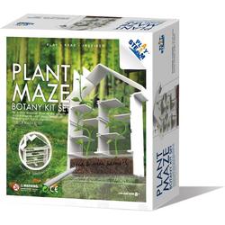PlaySTEAM - Plant Maze