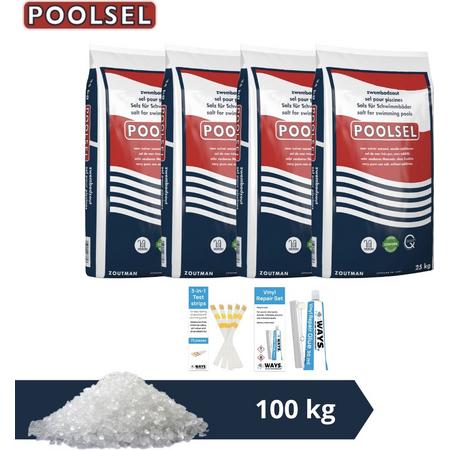 Poolsel zwembadzout - Geschikt voor zoutwatersysteem - 100 kg & WAYS Scrubborstel