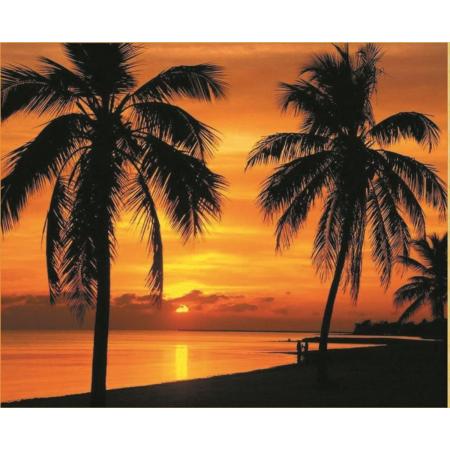 Palmbomen bij Zonsondergang - Diamond Painting 50x40 cm (volledige bedekking) inclusief premium tools – Premium Diamond ™
