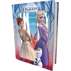 Disney - Frozen 2 Lensvormige Puzzel Boek 300 stk 41x31 cm