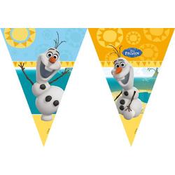 Disney Frozen Olaf Vlaggenlijn