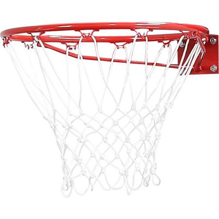 Pure2Improve Basketbal ring