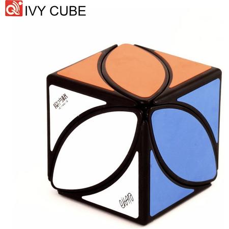 Ivy Cube - Twist kubus breinbreker - 5.5x5.5x.5.5 cm