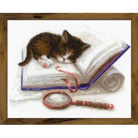 Borduurpakket Kitten Op Het Boek - Riolis