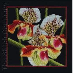 Borduurpakket   Orchids Paphiopedilum om te borduren