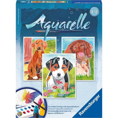 Aquarelle - Honden