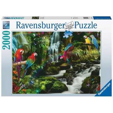 Ravensburger puzzel Bonte Papegaaien in de Jungle - Legpuzzel - 2000 stukjes