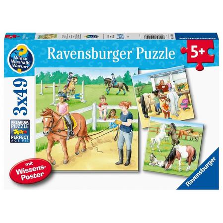 Ravensburger puzzel Een dag op de manege - 3 x 49 stukjes - kinderpuzzel