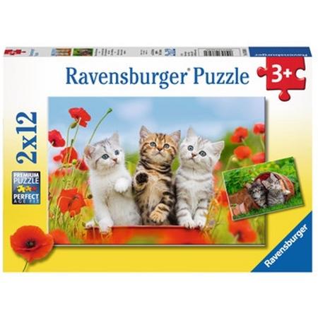 Ravensburger puzzel Katjes op ontdekkingsreis - Twee puzzels - 12 stukjes - kinderpuzzel