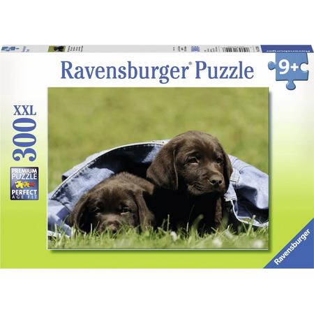 Ravensburger puzzel Labrador pups - Legpuzzel - 300 stukjes