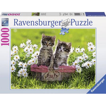 Ravensburger puzzel Picnick in de wei - Legpuzzel - 1000 stukjes
