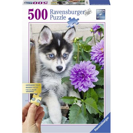 Ravensburger puzzel Schattige Husky - Legpuzzel - 500 stukjes