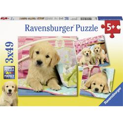   puzzel Schattige hondjes - Drie puzzels - 49 stukjes - kinderpuzzel
