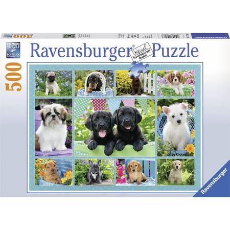 Ravensburger puzzel Snoezige hondjes - Legpuzzel - 500 stukjes