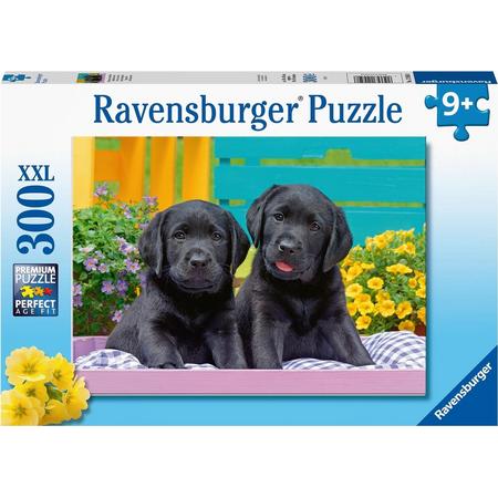 Ravensburger puzzel Zwarte labradors - Legpuzzel - 300 stukjes