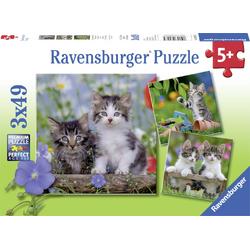   puzzel katten - Drie puzzels - 49 stukjes - kinderpuzzel
