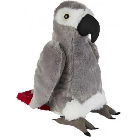 Pluche grijze roodstaartpapegaai knuffel 30 cm - Papegaaien vogel knuffels - Speelgoed voor kinderen