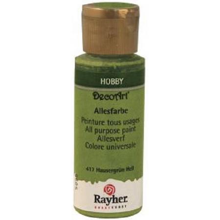 Rayher Acrylic verf 59 ml - Kleur : Huisgroen licht
