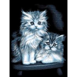Krasfolie Kittens