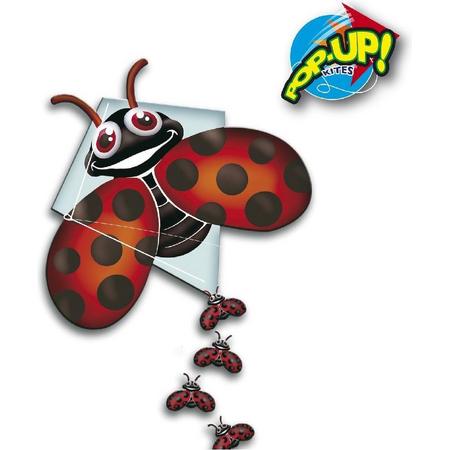 Rhombus Pop-up Lady Bug