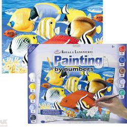 Schilderen op nummer - Paint by numbers - Junior - Tropische vis