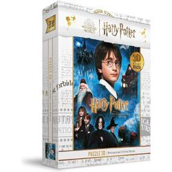 SD Toys Harry Potter Puzzel 3D-Effect Philosophers Stone Poster (100 pieces) Multicolours