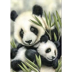 Diamond Painting - Pandas - 30x40 cm - Volledige bedekking - FULL - SEOS Shop ®