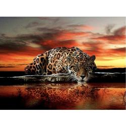 Diamond Painting Pakket Jachtluipaard in de avond - Volledig - Full - 50x40 cm - SEOS Shop ®