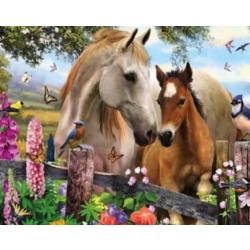 Diamond Painting Prachtige Paarden 20x25 - FULL - Volledig - Vierkanten steentjes - SEOS Shop ®