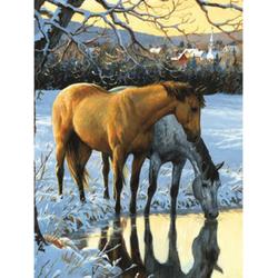Diamond Painting - Paarden drinken water - Volledig - Full - 25x30 cm