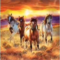 Diamond Painting - Prachtige Paarden in het veld - Volledig - 30x30 cm