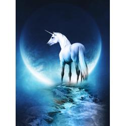 Diamond Painting - Unicorn with the Moon - Full - Volledig - 25x30 cm