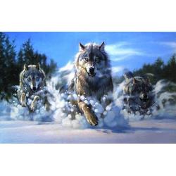 Diamond Painting - Wolven rennen in de sneeuw - FULL - 40x30cm - SEOS
