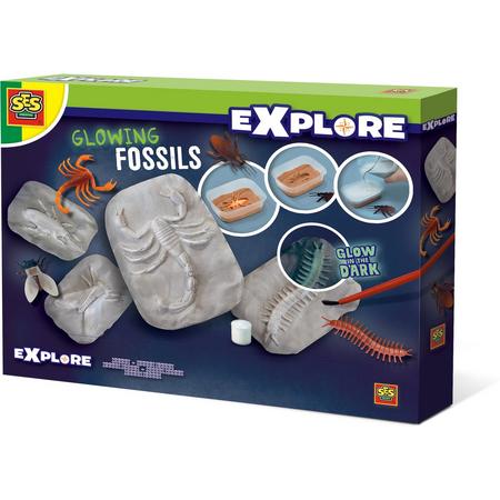 Glowing fossils