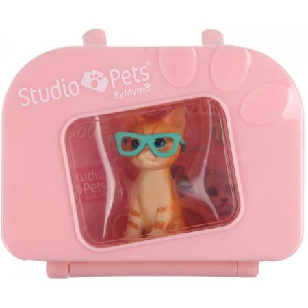 Studio Pets Poes Rayben In Koffer 7 X 6 Cm