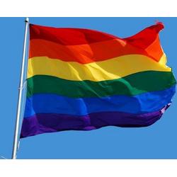 Regenboog / Gay / LGBTI Vlag / 90cm x 150cm