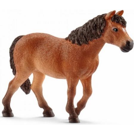 Dartmoor Pony Merrie