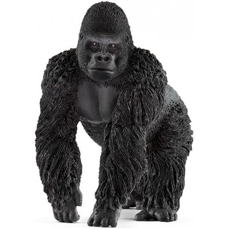 Gorilla Mannetje