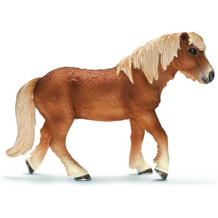 Ijslandse Pony Merrie