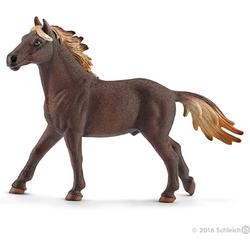 Mustang stallion