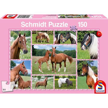 Beautiful Horses, 150 pcs Legpuzzel